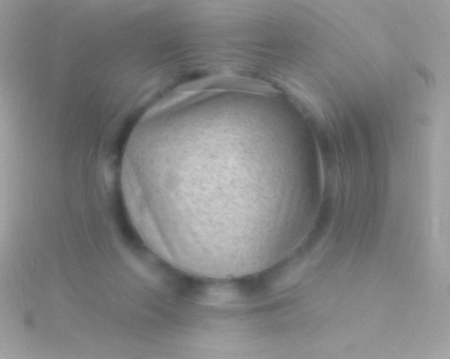 X0000115730214200911251945