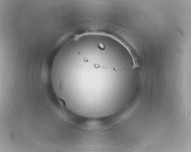 X0000115730216200911251945