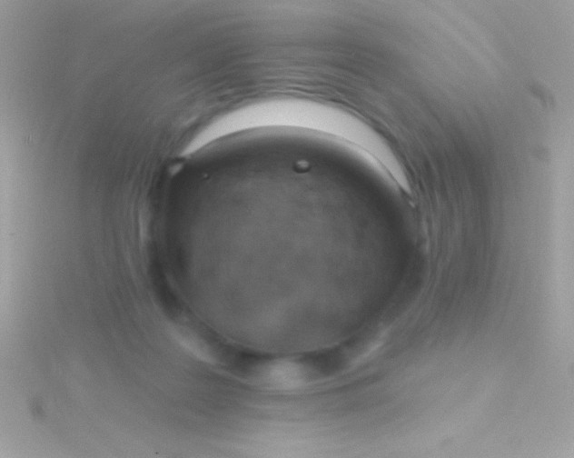 X0000115730219200911251945