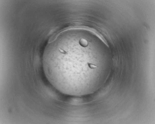 X0000115730220200911251945