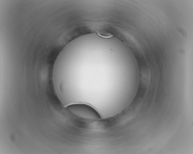 X0000115730221200911251945