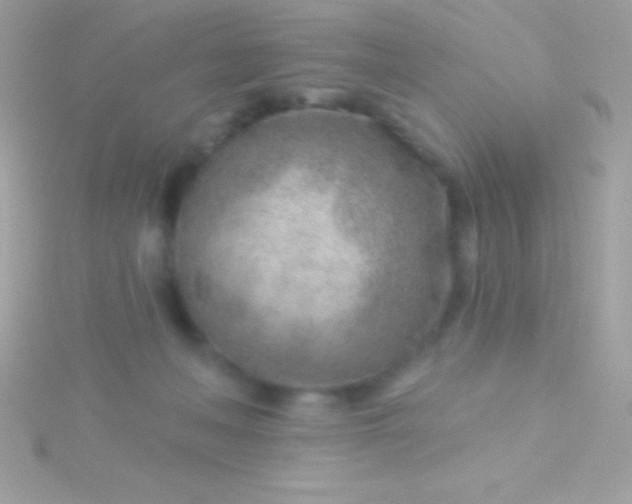 X0000115730222200911251945