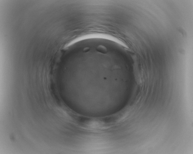 X0000115730223200911251945