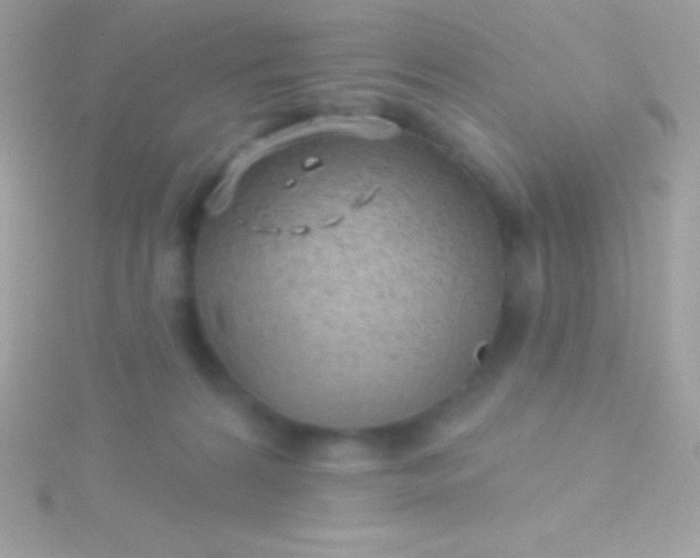 X0000115730224200911251945