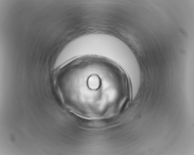 X0000115730225200911251945