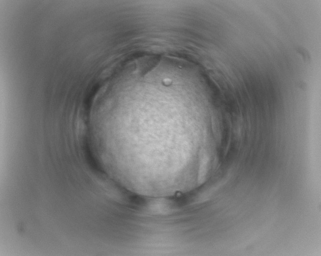 X0000115730226200911251945