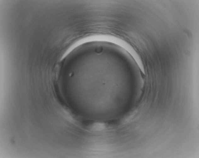 X0000115730227200911251945