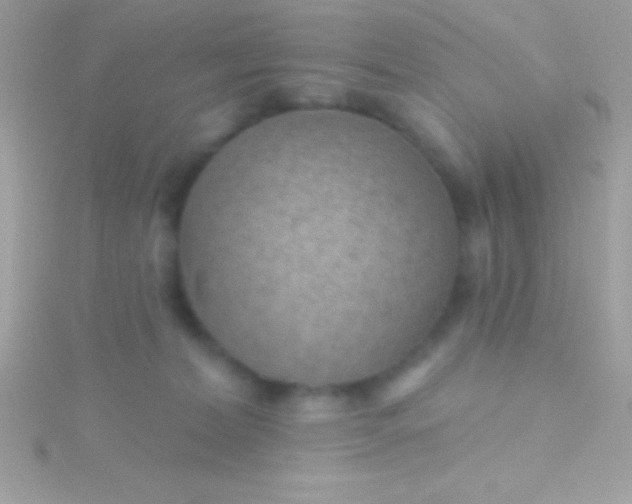 X0000115730228200911251945