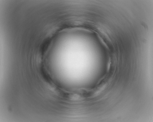 X0000115730230200911251945