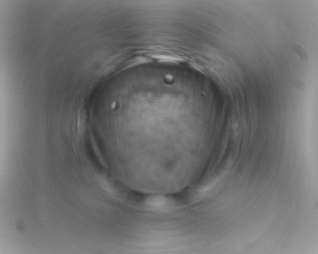 X0000115730231200911251945