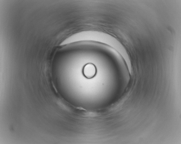 X0000115730233200911251945