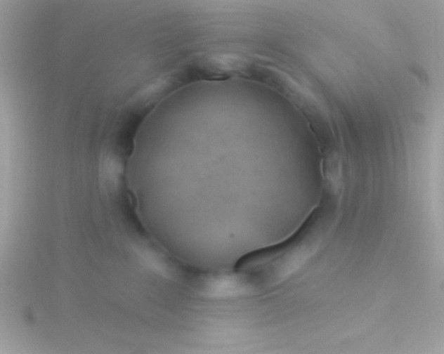 X0000115730235200911251945