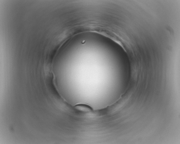 X0000115730236200911251945