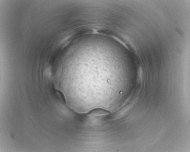 X0000115730238200911251945