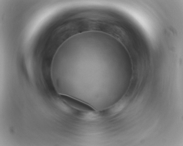 X0000115730239200911251944