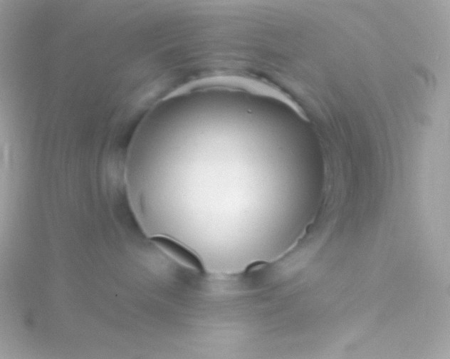 X0000115730240200911251944