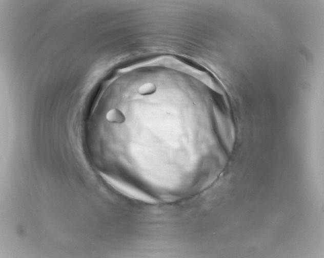 X0000115730241200911251944