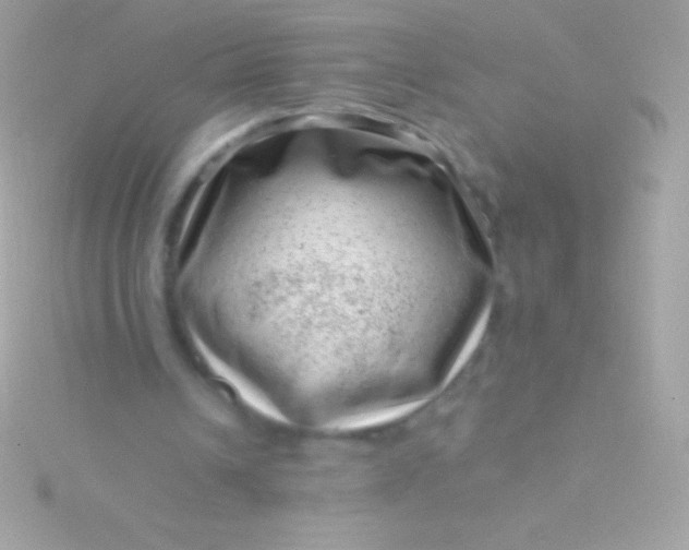 X0000115730242200911251944