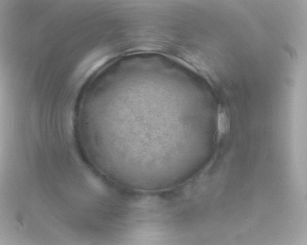 X0000115730243200911251944