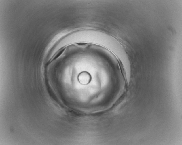 X0000115730244200911251944