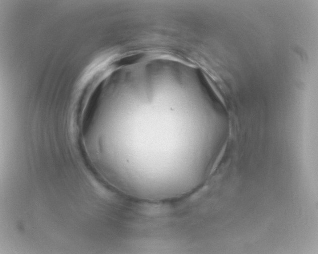 X0000115730245200911251944