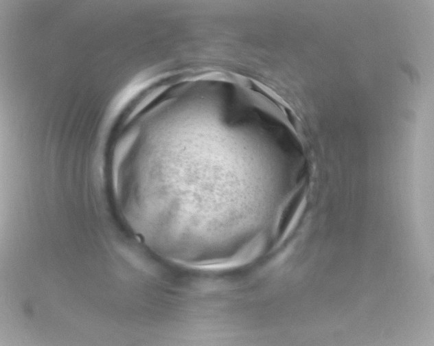 X0000115730246200911251944