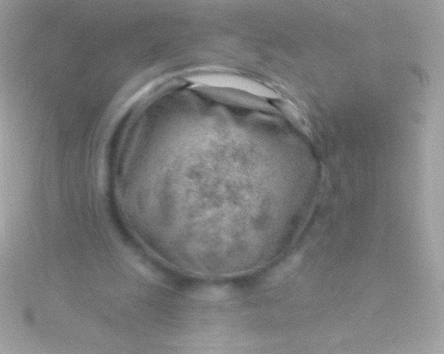 X0000115730247200911251944