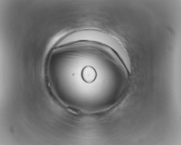 X0000115730248200911251944