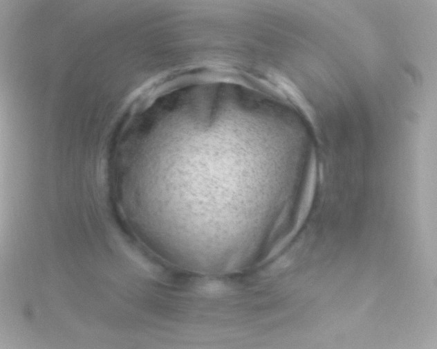 X0000115730249200911251944