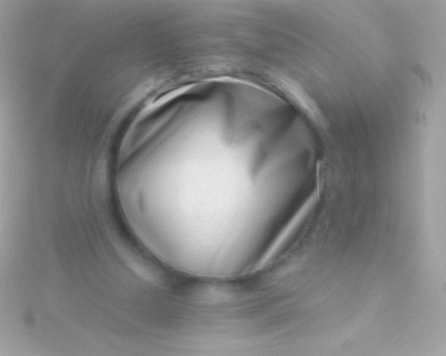 X0000115730250200911251944