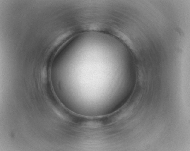 X0000115730251200911251944