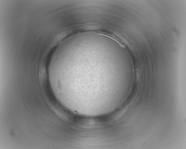 X0000115730254200911251944