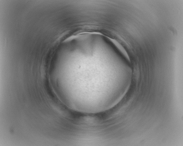 X0000115730255200911251944