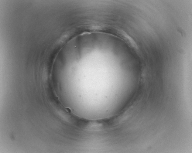 X0000115730257200911251944