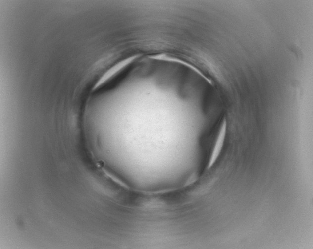 X0000115730258200911251944