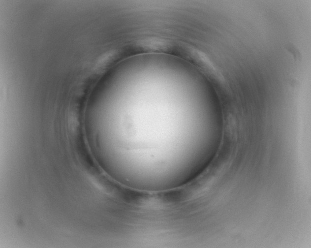 X0000115730259200911251944