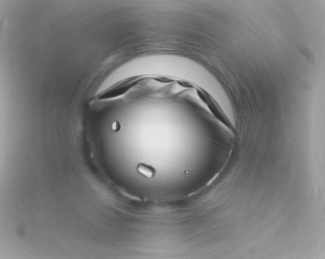 X0000115730260200911251944