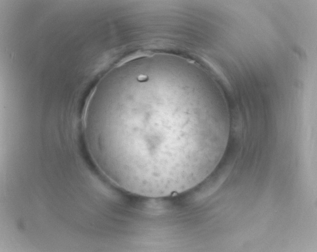 X0000115730261200911251944