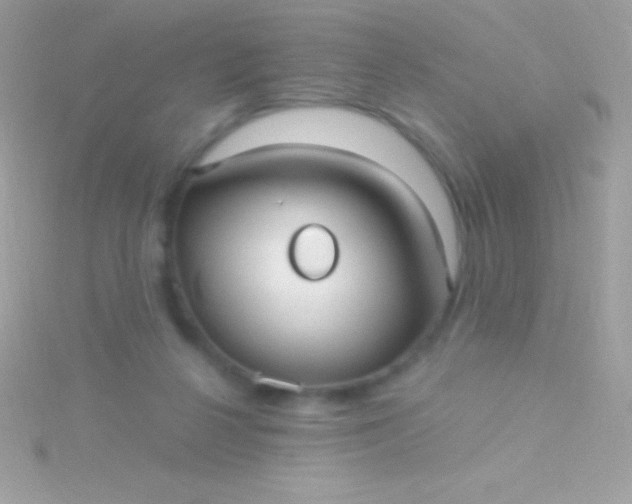 X0000115730264200911251944