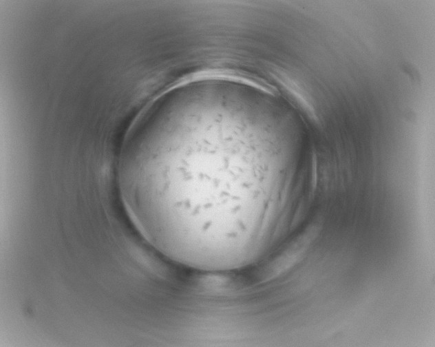 X0000115730265200911251944