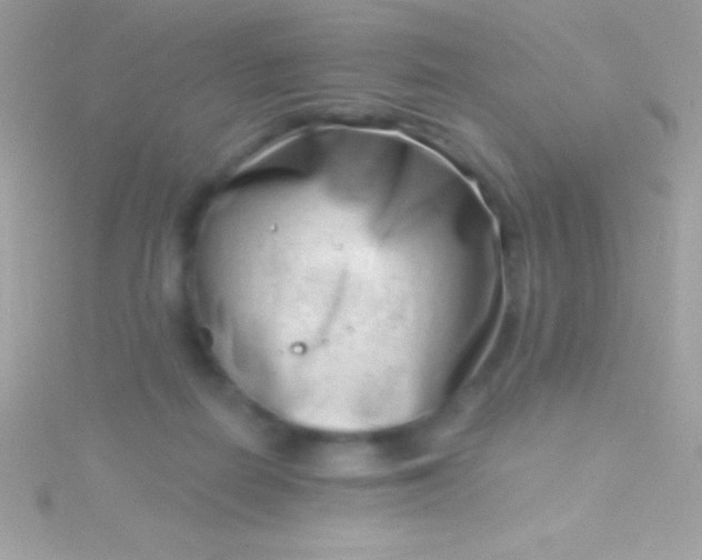 X0000115730266200911251944