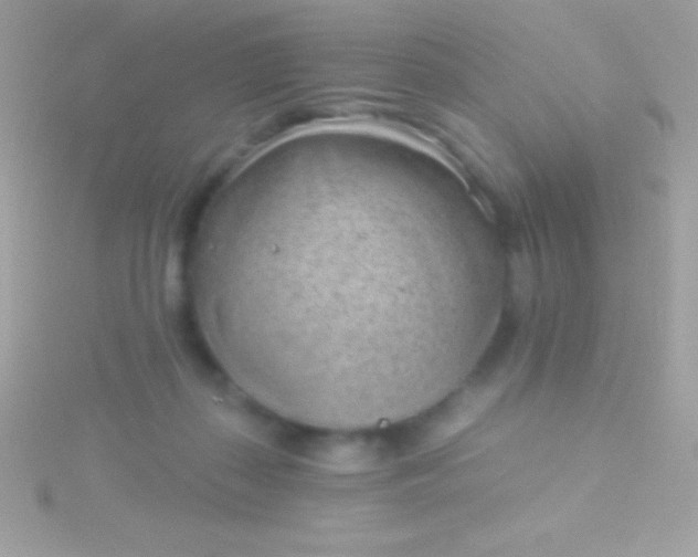 X0000115730267200911251944