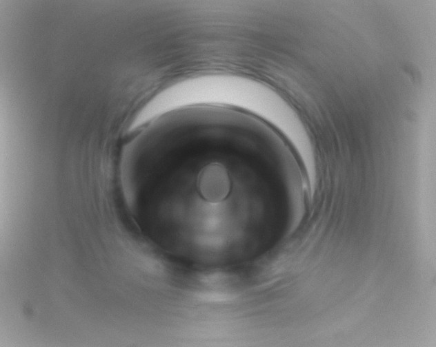 X0000115730268200911251944