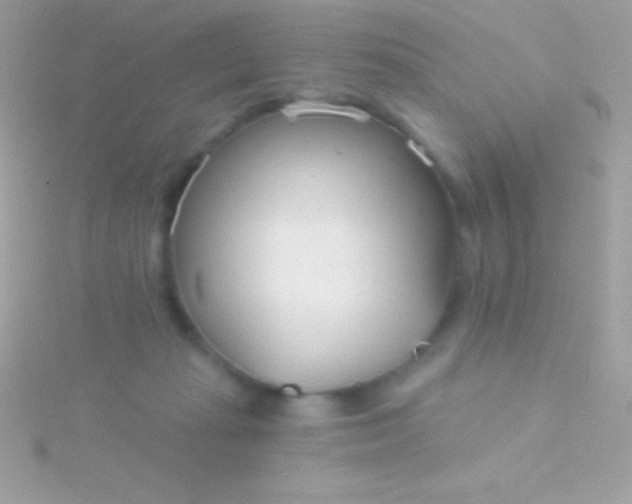 X0000115730269200911251944