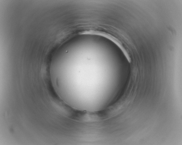 X0000115730270200911251944