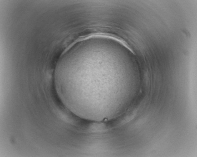 X0000115730271200911251944