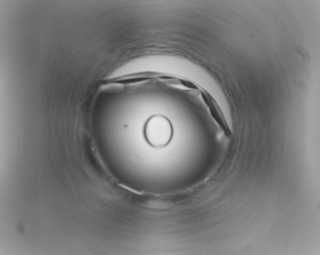 X0000115730272200911251944