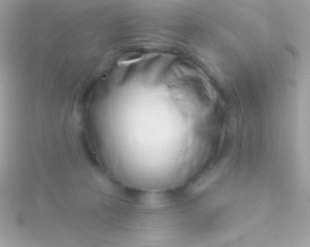 X0000115730273200911251944