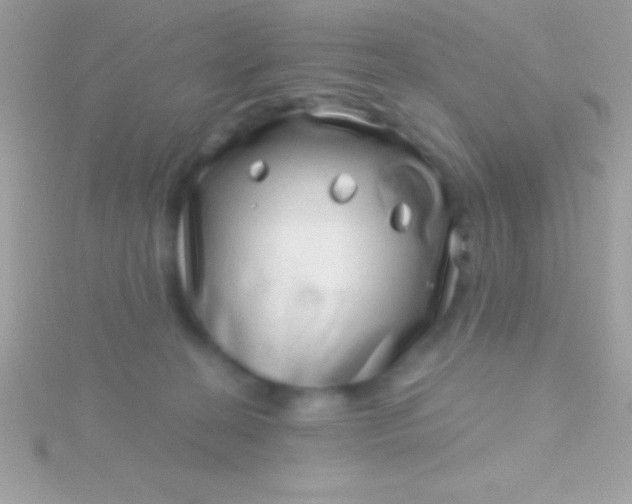 X0000115730274200911251944