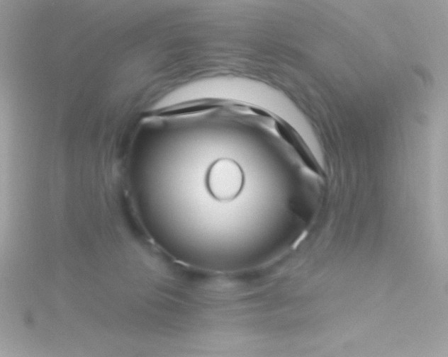 X0000115730276200911251944